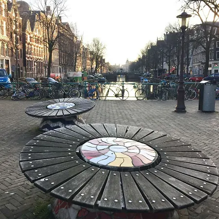 Sunflower Amsterdam